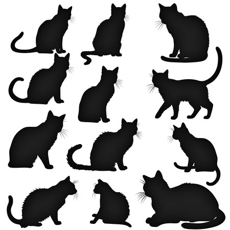 set of cats silhouettes on whiteの素材