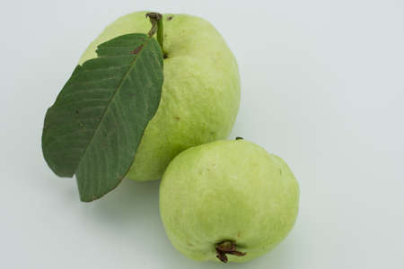 Guava fruit is beneficial to the bodyの写真素材