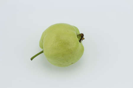 Guava fruit is healthy .の写真素材