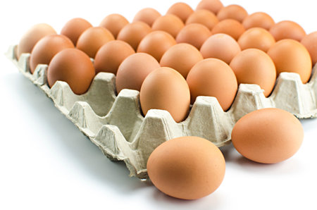 Chicken eggs in egg tray