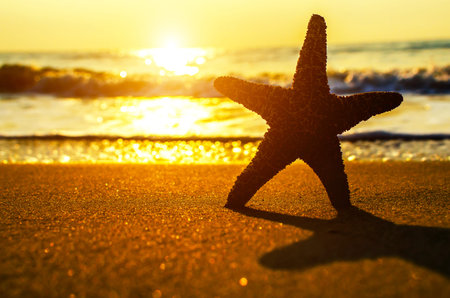 Beautiful beach with sunrise background. Focus on sea starfish.