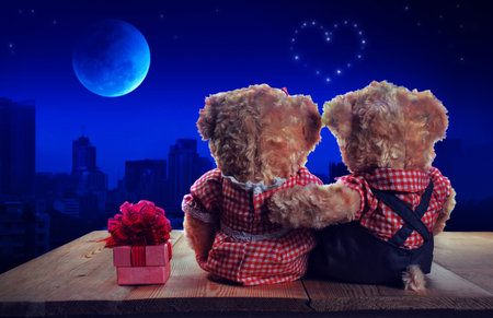 Couple love teddy bear looking to the super blue moon eclipse. Mixed mediaの写真素材