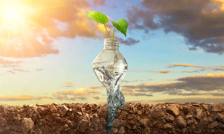 Planting trees in bottles on natural background. Conservation of forest conceptの写真素材