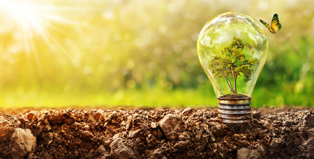 Tree In The Light bulb, Ecology Energy Development Concept