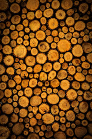Big wall background made from log woodの写真素材