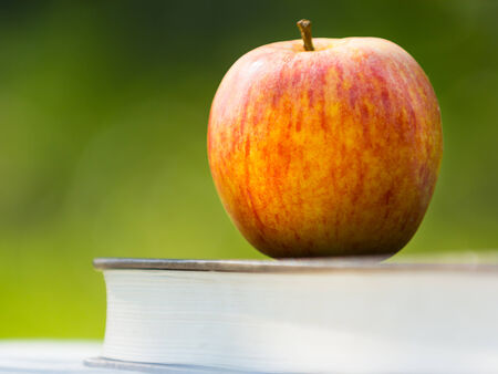 Apple on pile of bookの写真素材