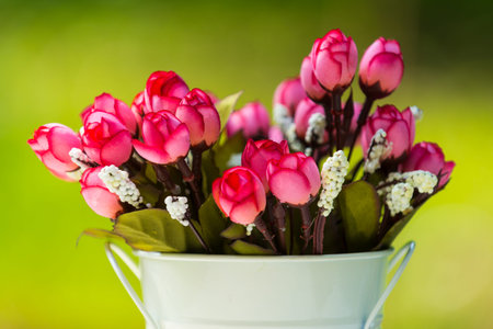 beautiful artificial roses on green nature の写真素材