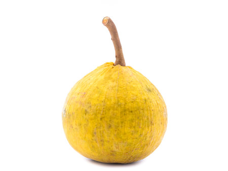 fresh santol fruit isolated on white backgroundの写真素材