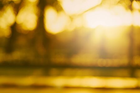 blurred sunset background in park spring timeの写真素材