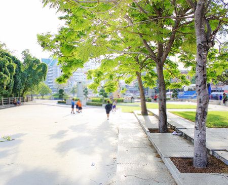 Group of children in school uniform running in afternoon park under treeの写真素材