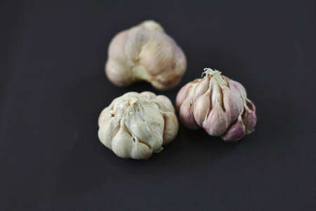 Dried garlic Pink white head, black backgroundの写真素材