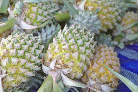 A lot of pineapple fruit background.Pineapples are harvested from the farm were piled up waiting to be sold.market pineapple foodのeditorial素材
