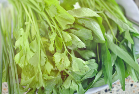 Background of vegetables, celery, morning glory, fresh onion, prepared for cooking, shabu with morning sunのeditorial素材