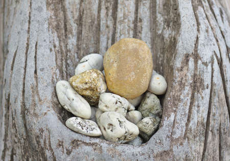 Hollow tree and rock background.Close-up photos of rocks and bark within the tree trunkのeditorial素材