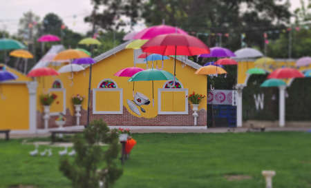 Lawn garden decorated with colorful umbrellas, rainy season, old bike decorated European model house wall background Painted Yellow Custard And potted plantsのeditorial素材