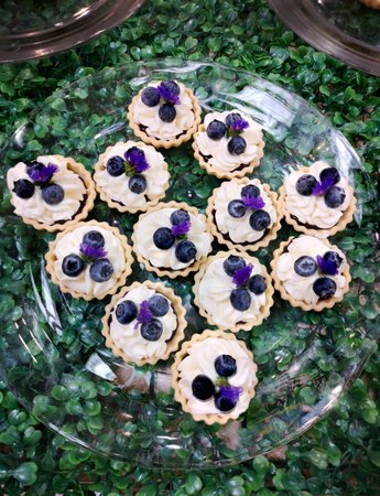 Blueberry tart sorted in a glass plate on the green grass.の写真素材