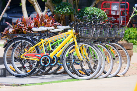Five yellow and green bicycles are parking in order the garden background.の写真素材