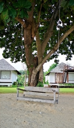 An afternoon beautiful and tranquil seaside beaches atmosphere for relaxation. With a wooden swing under a shady green tree. Scenery of beautiful destination island, Kao Yao Noi, Trat, Thailand. Summer and vacation concept.の写真素材
