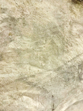 Abstract copy space seamless background texture. Vertical close-up photography of the polished cement floor with traces of tires. Floor Cement pouring, construction, and polish concept.の写真素材