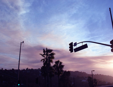                       hollywoodの写真素材