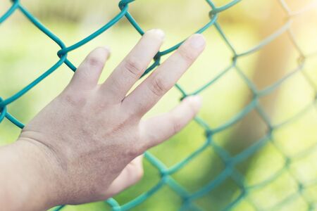 Hand hold cage on bokehの写真素材