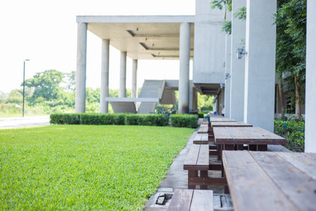 Outdoor: Bench in Park