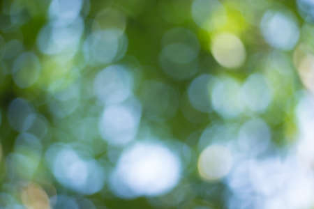 Abstract Green Bokeh Natural Backgroundの写真素材