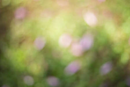 Abstract Green Bokeh Natural Backgroundの写真素材