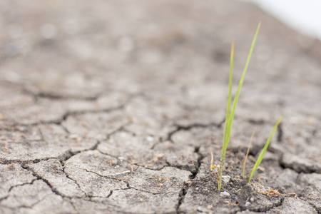 Broken Soilの写真素材