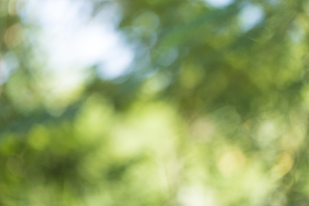 Abstract Background: Green Natureの写真素材