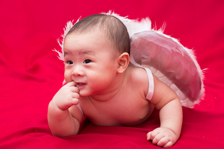 Baby cupid on red backgroundの写真素材
