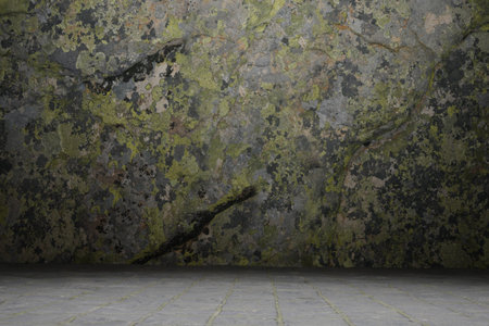 Wall Texture and Background with Brick Floor 3d renderの写真素材