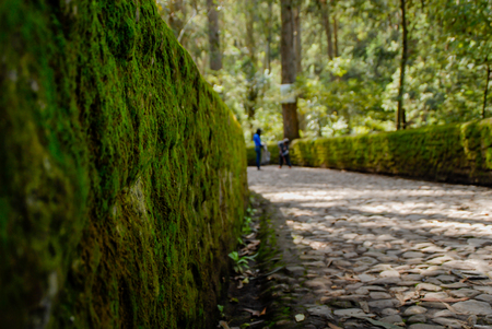 Stone road close up, Peguche Otavaloの写真素材