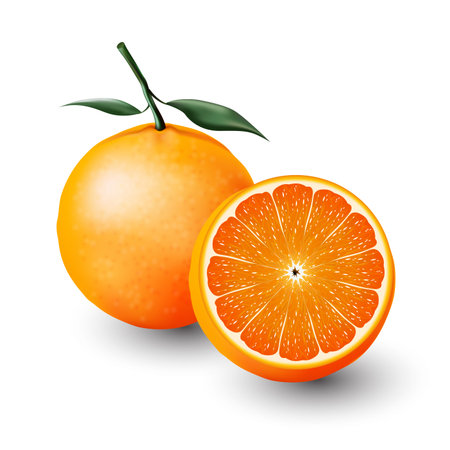 Orange and a half of orange, fruit, transparentのイラスト素材