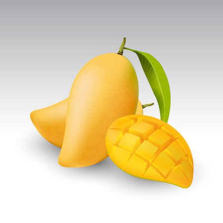 Fresh mango and a half of mango, fruit, transparent, Vectorのイラスト素材