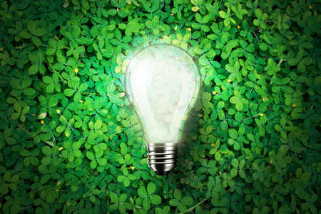 Glowing light bulb is on green grass background , concept ideaの写真素材