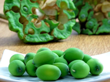 Fresh lotus seed on the dishの写真素材