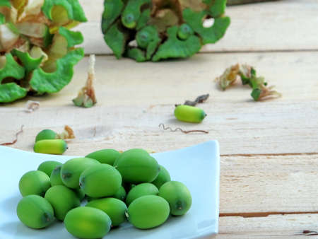 Fresh lotus seed on the dishの写真素材