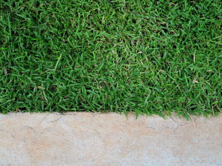 Grass and cement floorの写真素材