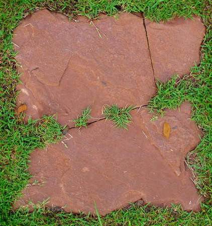 Stone and grass for backgroundの写真素材