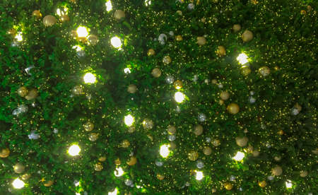 Christmas tree with light.の写真素材
