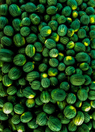 Water melon in market.の写真素材