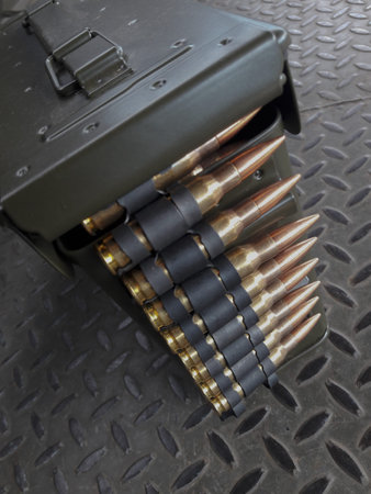 Ammunition in the box.