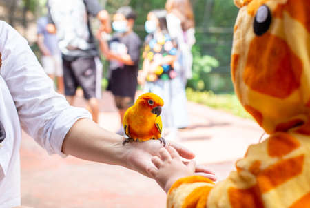 A trip in the zoo, feeding the Parrot in the large cage.
The parrot came to eat the sunflower seeds in hand.の写真素材