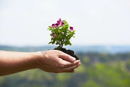 Man is holding a green young plant - springの写真素材