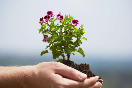 Man is holding a green young plant - springの写真素材
