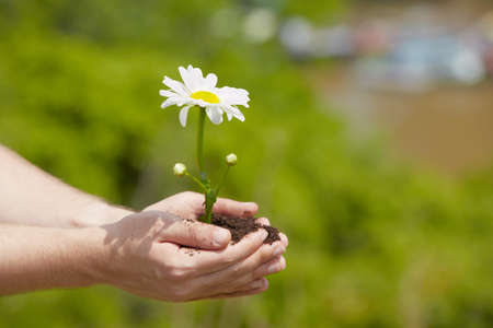 Man is holding a green young plant - springの写真素材
