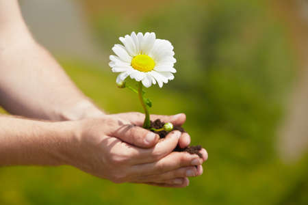 Man is holding a green young plant - springの写真素材