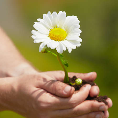 Man is holding a green young plant - springの写真素材