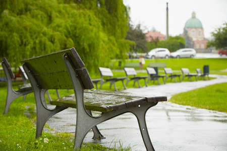Rain in the city - empty park in Pragueの写真素材